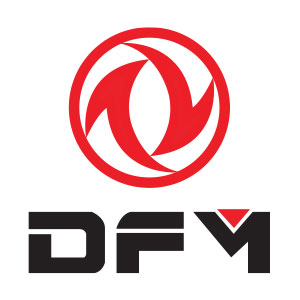 DFM